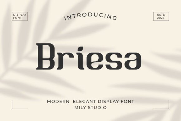 Briesa: A Warm and Clear Choice for Editorial Design